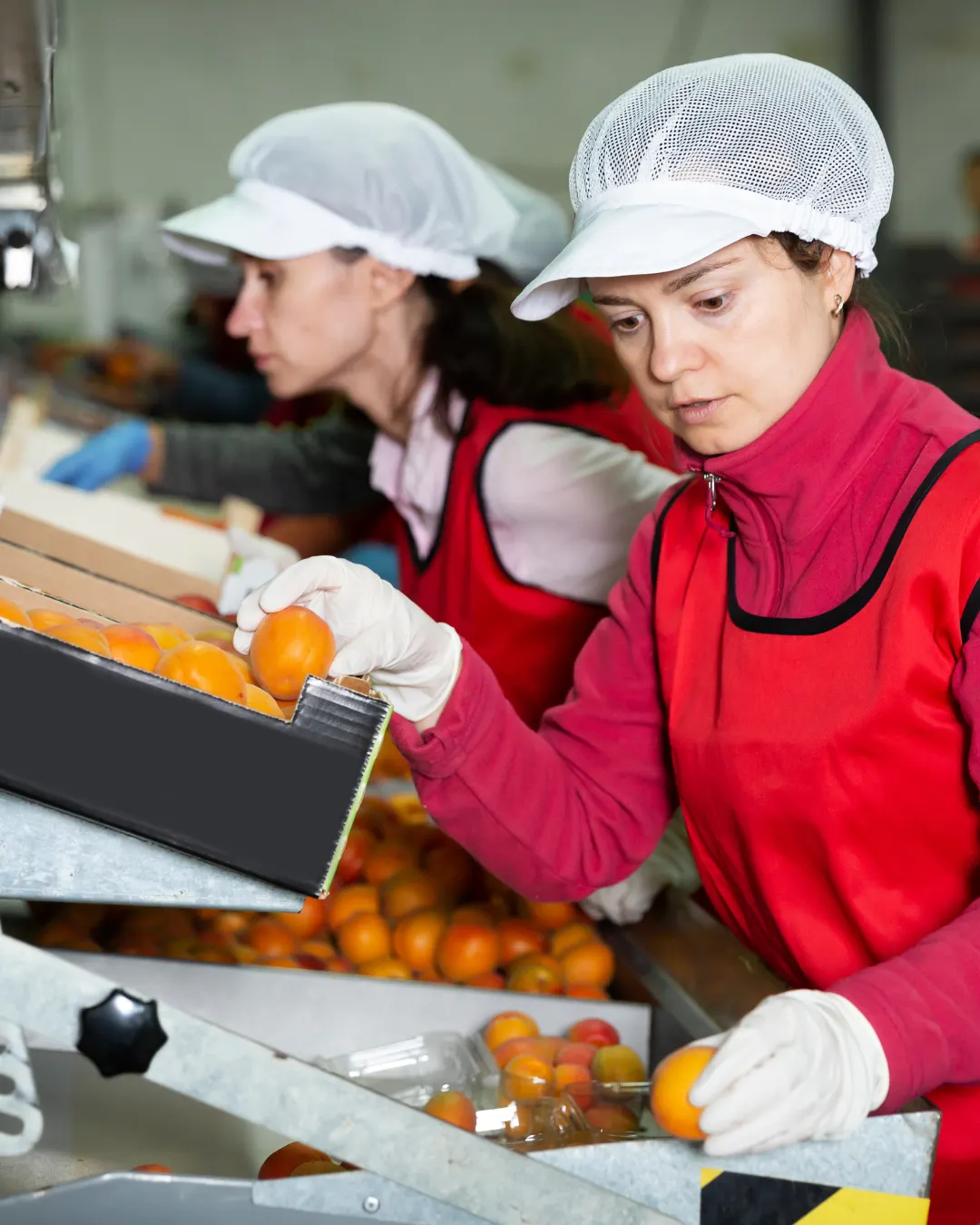 Medewerkers aan het werk in de voedselproductie